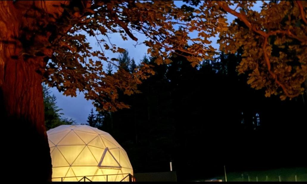 Hotel Forrest Glamp Mieroszow Exteriér fotografie