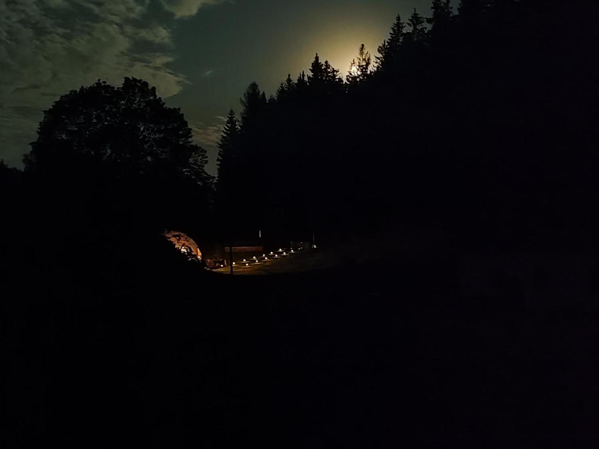 Hotel Forrest Glamp Mieroszow Exteriér fotografie